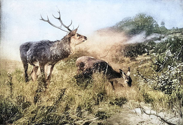 19th Century Painting: A Henke, An Autumn Morning