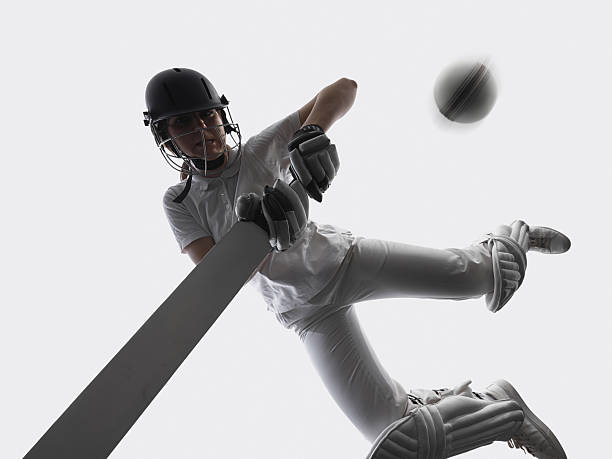 Zine image zine art pop trend collage of happy sportsman hold bat push ball baseball game player match tournament activity.
