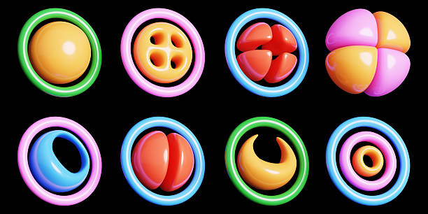 Inflated circle 3D shape set. Y2k colorful glossy plastic elements. Abstract rings, sphere, flower and ripple. Playful retro modern geometric forms with air. Trendy graphic design. 3D illustration