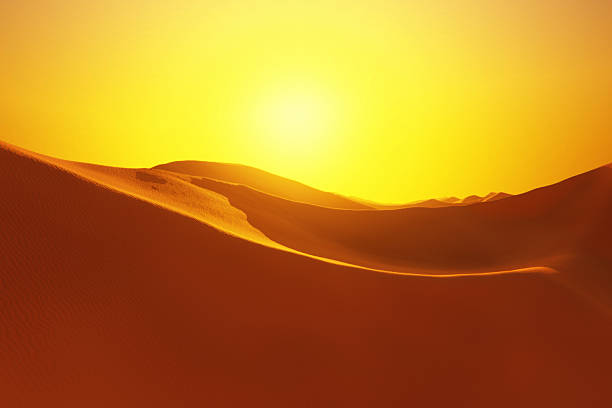 Breathtaking golden desert landscape at sunset. Rolling sand dunes with deep shadows and glowing orange light create a majestic, warm atmosphere. Perfect for travel and nature backgrounds.