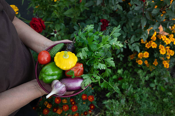 A person holds a wooden crate filled with fresh vegetables. The crate has tomatoes, cucumbers, peppers, and herbs. The background shows colorful flowers in a garden during daylight.
