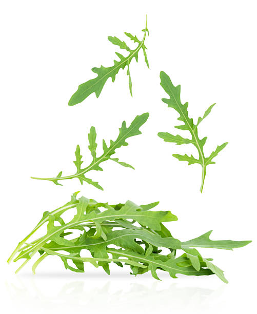 Fresh Arugula Leaves And Rocket Salad Isolated On White Background