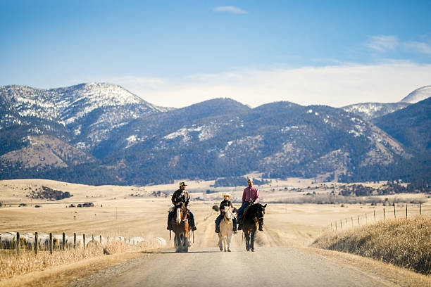 A day in the life of a modern cattle ranch.  A cattleman, ranch hand, and younger boy ride out to the calves field to check their health and wellbeing.  Shot in Montana.