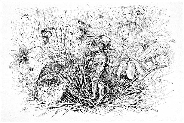 A bearded gnome with a pipe among flowers and plants in the forest, 19th century Illustration