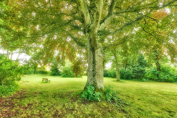 Montsouris park in the 14th arrondissement of Paris city