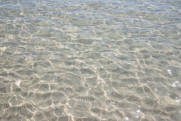 The water is calm and clear, with ripples in the surface. Concept of tranquility and serenity