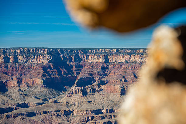 A majestic midday view over the Grand Canyon reveals a vast expanse of layered rock formations in shades of red, orange, and beige. The intricate erosion patterns and dramatic depth showcase millions of years of geological history under a clear blue sky. A timeless symbol of the American Southwest.