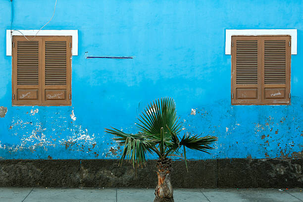 A vibrant blue wall with two wooden windows and a small palm tree on the sidewalk. A contrast between nature and architecture, ideal for urban, tropical, and color-coded themes.