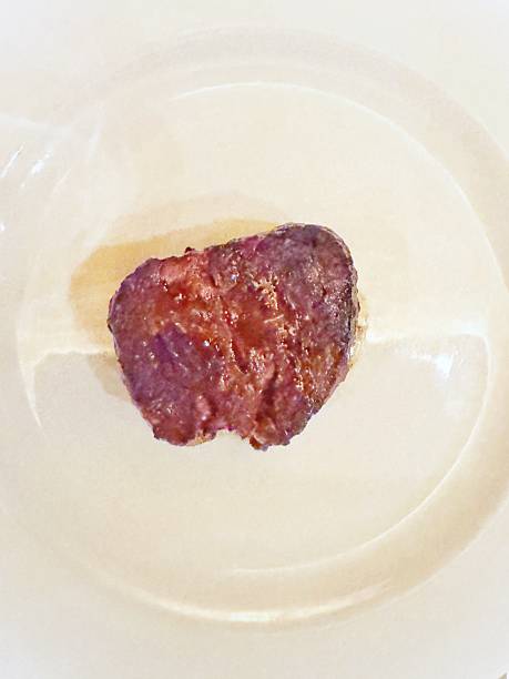 Well done 250g fillet steak