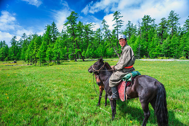 A person sits astride a dark horse in a wide, grassy meadow dotted with small yellow wildflowers. They wear a cap, a long coat and boots, and look toward the camera while holding the horse’s reins. Behind them, a dense stand of tall conifer trees stretches under a bright blue sky with scattered clouds, creating a peaceful, open-country scene.