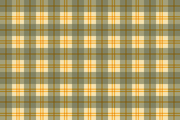Classic Modern Plaid Tartan Seamless Print,Pattern in Vector stock illustration