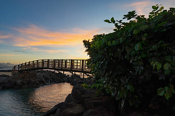 A wooden bridge arches gracefully over calm turquoise waters edged by rugged rocks, connecting a coastal path amid dense tropical foliage. The scene captures a serene sunset with a sky transitioning from deep blue to warm orange hues, reflecting softly on the water surface. Lush green leaves frame the right side, adding natural contrast to the structure. This image evokes tranquility and natural beauty, ideal for commercial uses in travel magazines, resort promotions, environmental publications, and lifestyle content highlighting coastal escapes or outdoor serenity. Suitable for book covers on adventure travel or digital media illustrating peaceful retreats.