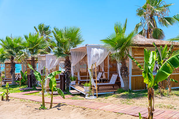 Luxury beach cabanas with palm trees under clear blue sky, Antalya Turkiye. Exotic vacation and travel destination background