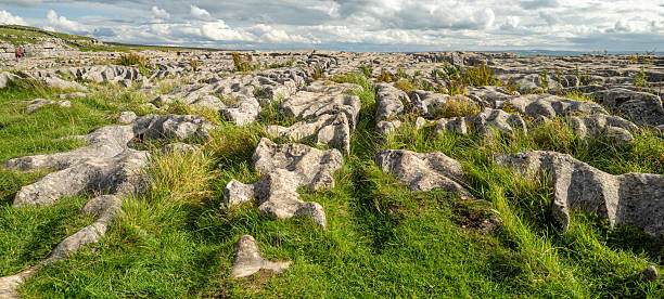 weathered and eroded Limestone rock outcrop showing a classic erosion pattern of vertical cracks creating a pavement feature on th elandscape. Seen in the Yorkshire Dales area in England, United Kingdom.