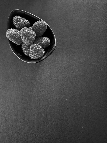 Fresh Red Raspberries in Creative Still Life Arrangements