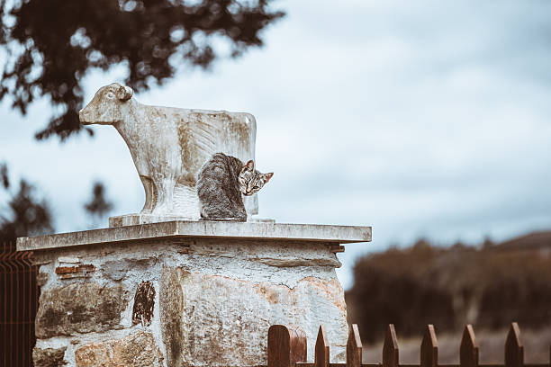 Curious tabby cat perched on rustic stone gate pillar beside weathered cow statue, looking back at camera, rural farm mood, shallow depth of field, soft cloudy sky with copy space