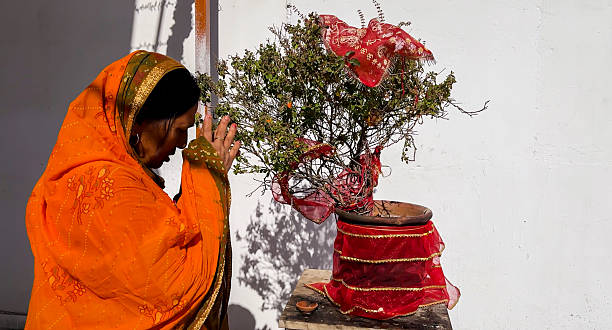 hindu lady performing puja beside holy basil shrine within residential yard