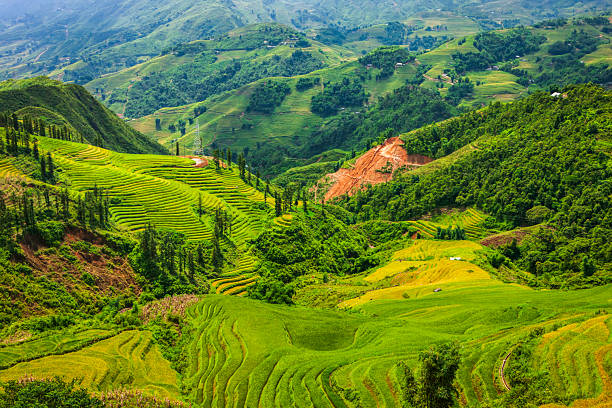 A sweeping panoramic view of vivid green terraced rice fields carved into steep mountainsides. The layered paddies create flowing, rhythmic contours across the valley, punctuated by clusters of trees, a small access road, scattered rural structures and a distant transmission tower. A patch of exposed red earth from excavation or erosion contrasts with the lush vegetation, emphasizing the dramatic highland terrain in peak growing season.