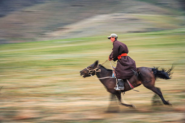 australia melbourne  equestrian demostration