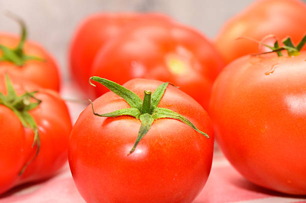 Freshly picked red tomatoes sit together on a soft background, highlighting their vibrant colors and glossy surfaces.