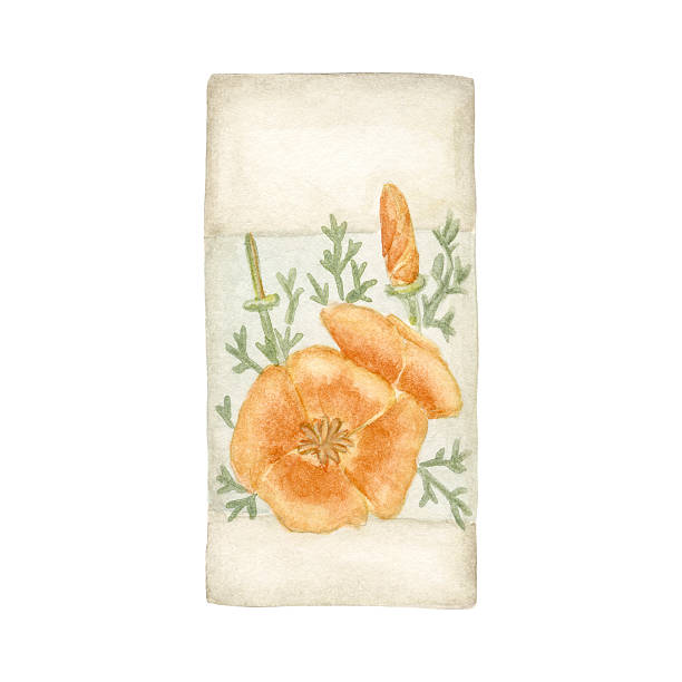 Watercolor vintage seed packet with California poppy flowers. Perfect for spring planting themes, cottage garden designs, botanical stationery and hobby gardening projects