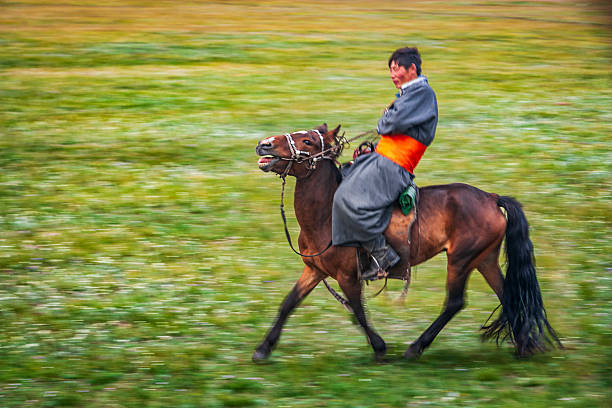 A lone rider wearing a long grey robe and a bright orange sash leans back as a bay horse charges across a green meadow. The photo captures strong motion blur in the background and the horse's flowing tail, conveying speed and energy; the rider grips the reins and appears focused amid the dynamic movement.