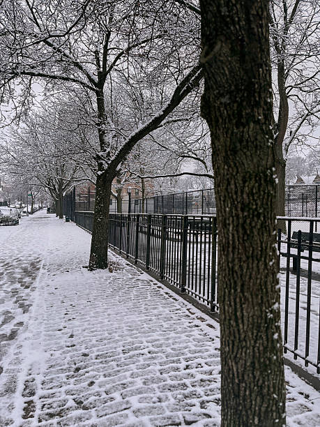 View of empty street during snow day