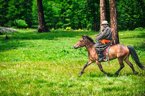 A rider wearing a wide-brimmed hat and a heavy coat with an orange sash sits astride a brown horse, moving across a sunlit grassy meadow dotted with small white wildflowers. Tall conifer trees and a dense green forest fill the background, creating a calm, pastoral scene of outdoor life and motion.
