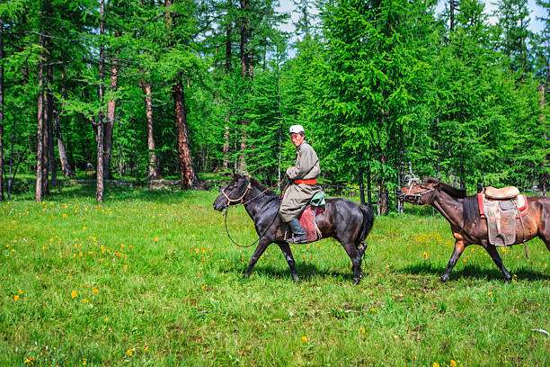 A person in traditional outdoor clothing sits astride a dark horse, riding through a sunlit grassy meadow dotted with small yellow wildflowers. A second saddled horse follows, tied behind the lead animal. Tall green conifer trees form a dense forest backdrop under bright daylight, giving the scene a peaceful, rural atmosphere.