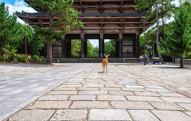 Wild deer roaming freely among tourists, before an old gate at the Todaiji Temple complex. Nara, Japan