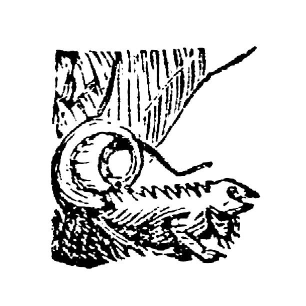 Iguana, coiled tail and a scaly body perched on a tree trunk, old vintage illustration, 1897.