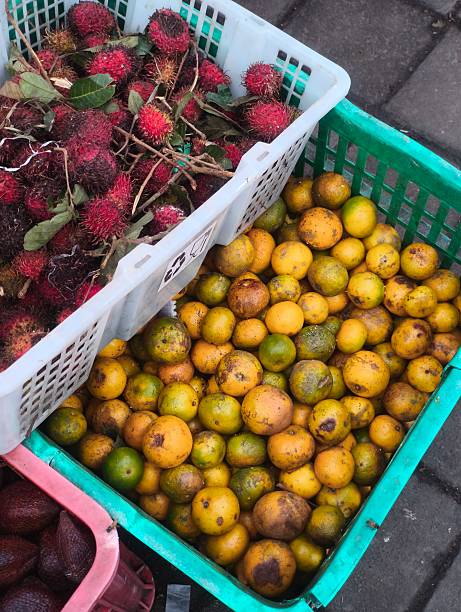 Fruits