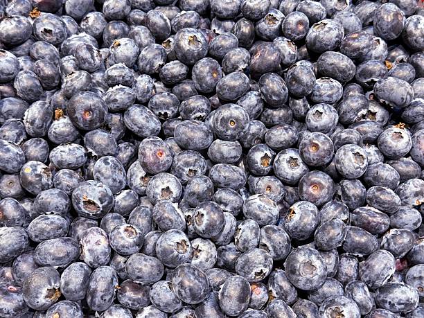 Blueberries berries close up background.