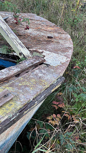Boat in a grassy field in a serious state of decay.