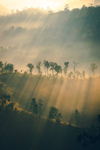 High angle view of mountain with fluffy fog in the morning