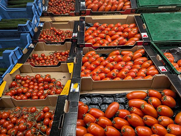 Mixed Red Tomatoes In Packaging. Selection Of Ripe Cherry And Plum Tomatoes In Organized Crates