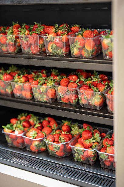 Fresh red strawberries packed in plastic containers and displayed in refrigerator unit for storage.
