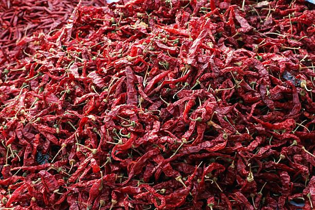 Sun-dried red chilies