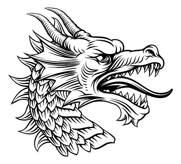 Dragon head, an original illustration in a retro woodcut etching vintage style