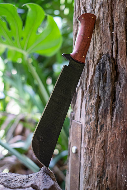 A machete knife on a log, handmade in Thailand