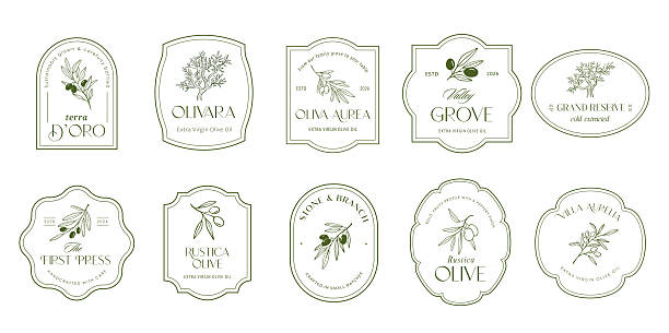 Vintage hand drawn olive old labels, badges and logos. Minimalist retro vector illustration.
