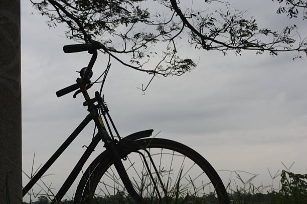 Cycling in the countryside
