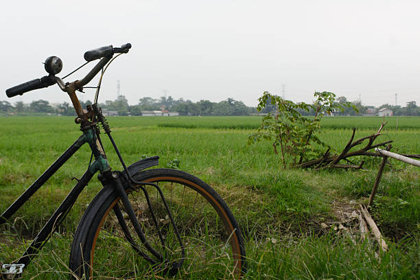 Cycling in the countryside