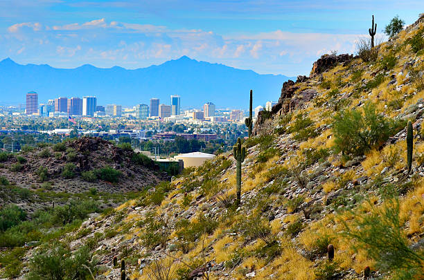Detail of Downtown Phoenix Arizona with mountains and Wild Desert Cactus