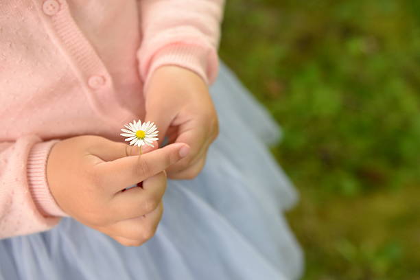little girl holding a flower in her hands. High quality photo