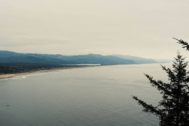 View of pacific ocean some of the pine tree covered coastline on a mostly clear day, as seen from behind from a high point inland. Taken while hiking on the Oregon Coast Trail where it crosses the Neahkahnie Mountain, a high point in the Oswald West State Park north of Manzanita, Oregon.