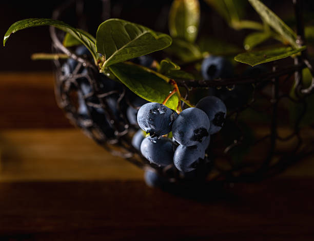 Fresh blueberries with water drops in metal basket