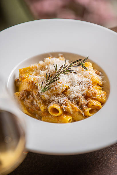 Gourmet Rigatoni Pasta with Tomato Meat Sauce and Parmesan