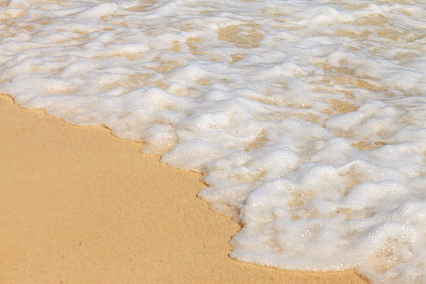 Soft waves kiss golden sand with gentle foam. Sunlight glows warmly on wet, peaceful beach. Natural rhythm of tide repeats endlessly. Tranquil moment invites calm, quiet reflection