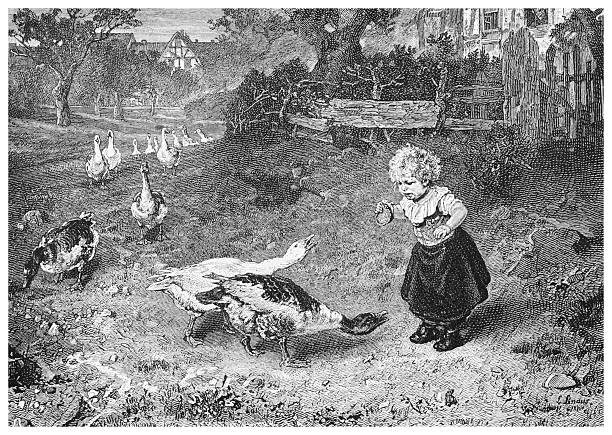 A 19th-century engraving depicts a young girl feeding geese in a farmyard. The rural scene includes farm buildings and a flock of geese.